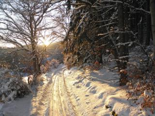 Ferienwohnung Martina - 3