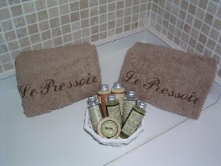 Le Pressoir B&B - Aydie - 1