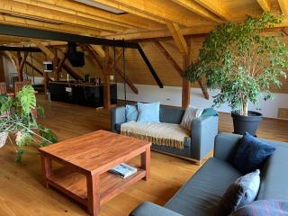 Apartmán typu Loft - Hořovičky - 6