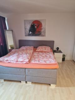 IM SI-CENTRUM 1 ZIMMER APART#MUSICAL#MESSE#Flughafen - 4