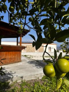 Agriturismo del Nonno - Centuripe - 3