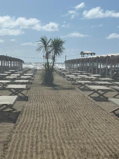 Maison Jula Confort, Relax e Libertà, Cinquale - Cinquale - 9