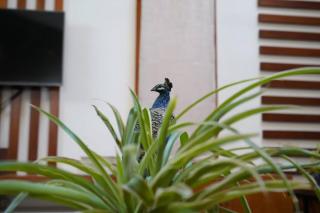 Teak Heaven Villa with Bar - Mysore - 5