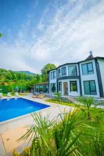 Sapanca Bendamil villa - Sapanca - 0