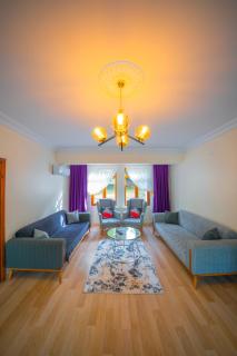Sapanca Bendamil villa - Sapanca - 5