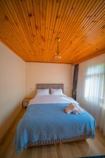 Sapanca Bendamil villa - Sapanca - 2