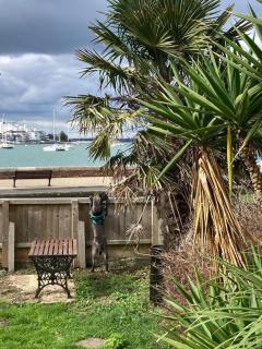 Cosy Coastguard Cottage right next to the sea - East Cowes - 4