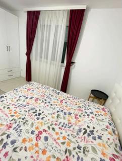 Sandra apartmani - Vršac - 8
