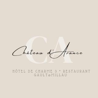 Château d'Arance Hôtel Restaurant Espace bien-être - Cette-Eygun - 9
