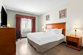 Quality Inn & Suites McAlester on Hwy 69 - 9
