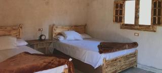 Best One Hotel - Siwa - 9