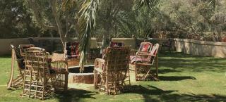 Best One Hotel - Siwa - 8