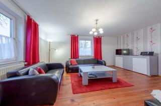 Rohrdommel - Seeoase am Loopiner See - Jabel - 0