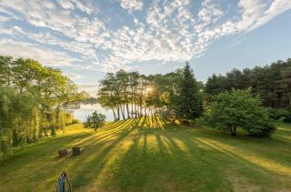 Rohrdommel - Seeoase am Loopiner See - Jabel - 9
