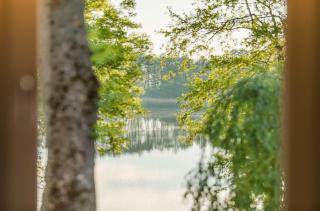 Schwan - Ferienwohnung am Loppiner See mit Terrasse und Sauna - Jabel - 8