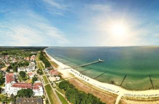 Krosse Krabbe an der Seebrücke - Zingst - 7