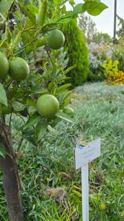 Elounda Spa Villa Crete - Ultimate Luxury Resort - Elounda - 1