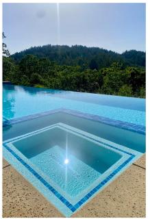 Secluded Vineyard Estate Healdsburg - Healdsburg - 7