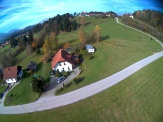 Apartment Rozika - Slovenj Gradec - 9