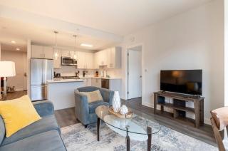 Modern Apt Close to Downtown - Stamford - 8