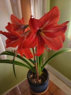 The Villa Retreat - 3