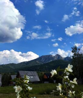Domki TATRA HOMES z jacuzzi - Kościelisko - 3