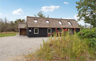 3 Bedroom Amazing Home In Ringkøbing - 1