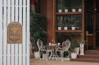 The Lilly's Stories - 5