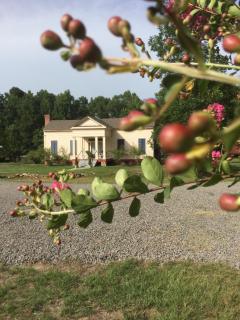 Coulter Farmstead - 9