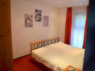 Lovely holiday home with fenced garden - Breskens - 1