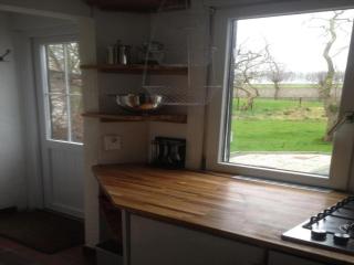 Attractive bungalow with garden - Hoofdplaat - 3