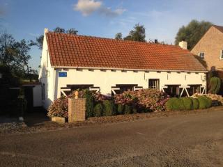 Attractive bungalow with garden - Hoofdplaat - 0
