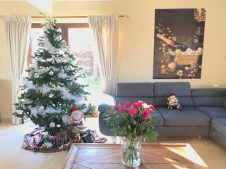 Happiness at Vero - 6