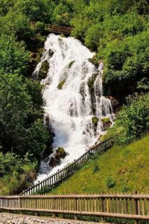 Historic Charm with Castle view and Private Sauna - Stenico - 8