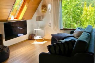 Haus Löwe - Komplettes Ferienhaus am Badesee - Erzgrube - 8