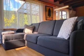 Haus Löwe - Komplettes Ferienhaus am Badesee - Erzgrube - 7