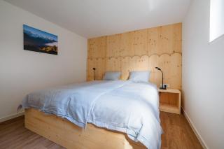 Via Alpina Apartments with sauna - 4