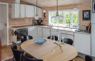 Two-Bedroom Holiday Home In Albak - 3