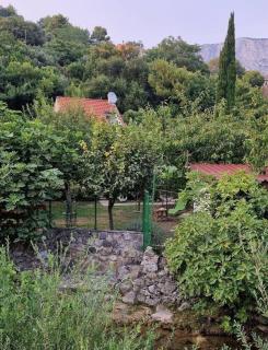 House River - Žrnovnica - 2