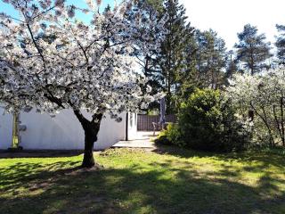 Ferienhaus mit Terrasse mitten im Grünen - Altwarp - 7
