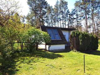 Ferienhaus mit Terrasse mitten im Grünen - Altwarp - 4