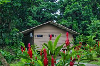 Valverde Glamping & Ecolodge - Tortuguero - 4