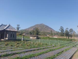 Polege Side Cottage and Jeep tour - Kubupenlokan - 2