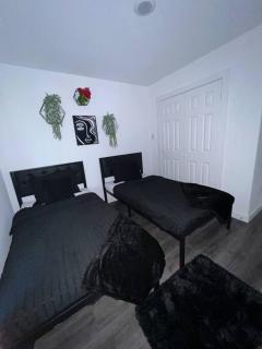 Luxurious 4 bed 2 bath house near Downtown Houston - Houston - 6