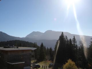 Appartement 8 pers, terrasse sud, proche pistes - FR-1-549-147 - Chamrousse - 0