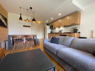Bel appartement, résidence neuve, parking, wifi - FR-1-624-171 - Samoëns - 6