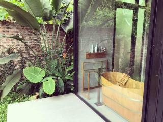Sapavilion - 1