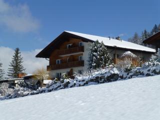 Ferienwohnungen Tiroler Alpenhof - Innsbruck - 5