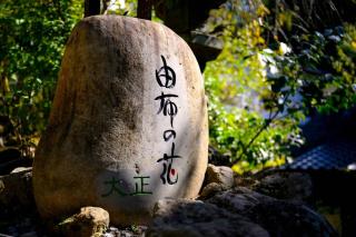 Taisho Yufu no Hana - Yufu - 6