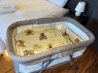 Wellリゾート富士 - 1